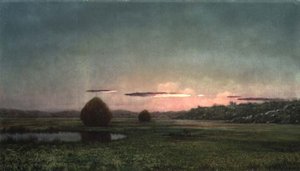 Suot (öljy kankaalle) tekijältä Martin Johnson Heade