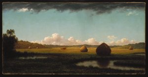 Kesäsateet tekijältä Martin Johnson Heade