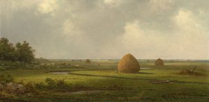Näkymä Marshfieldistä tekijältä Martin Johnson Heade