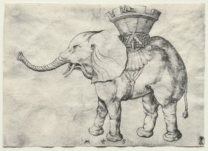 Elefantti Howdan kanssa, c. 1485. tekijältä Martin Schongauer