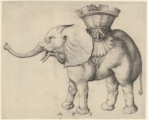Norsu tekijältä Martin Schongauer