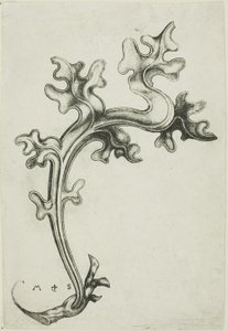 Leaf koriste tekijältä Martin Schongauer