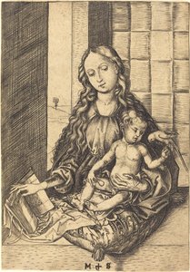 Madonna papukaijan kanssa tekijältä Martin Schongauer