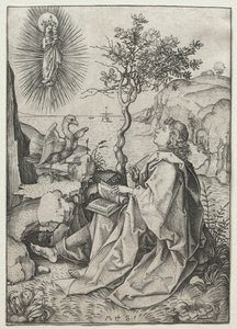 Pyhä Johannes evankelista Patmossaarella. tekijältä Martin Schongauer