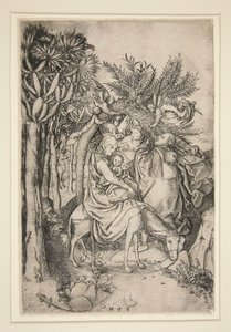 Lento Egyptiin, sarjasta Life of the Virgin tekijältä Martin Schongauer