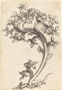 Ohdake-ornamentti tekijältä Martin Schongauer