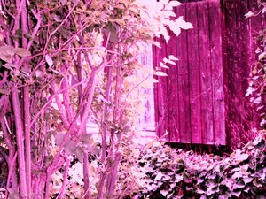 Olen Gartenhaus tekijältä Martina Konitzky
