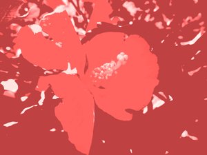 Blüte tekijältä Martina Konitzky
