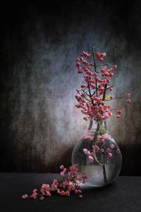  tekijältä Martine Benezech