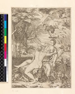 Venus ja Adonis, noin 1560 - noin 1580