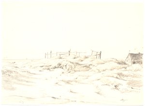 Dyynimaisema, Skagen