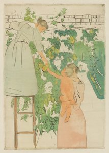 Hedelmien kerääminen, c. 1893. tekijältä Mary Cassatt