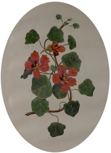 Nasturtiums, n. 1870 (öljy paperille) tekijältä Mary Dakeyne Townroe