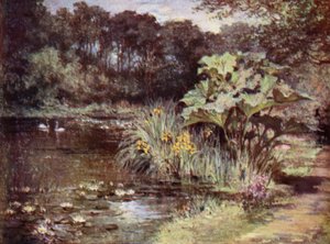 Scottish Gardens: Culzean (väri litho)