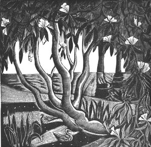 Rhododendrons, Holland Park, 2006 (vinyylikaiverrus) tekijältä Mary Kuper