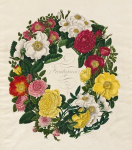 Ruusujen seppele tekijältä Mary Lawrence