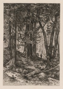 Kalifornian metsän sisustus Thomas Moranin amerikkalaisen mukaan, 1837-1926, 1888.