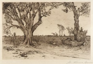 Old Lindens--Near Easthampton tekijältä Mary Nimmo Moran