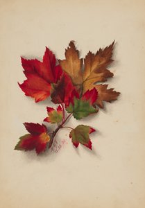 Nimettömät syksyn lehdet, 1874.