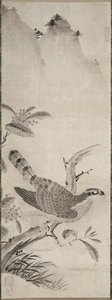 Hawk, 1500-luvun puoliväli. tekijältä Masayoshi Fujiwara