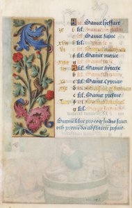 MS Lewis EM 11:22v Flower Panel with acanthus, pink and caterpillar, Hours of Louis XII, 1498-99 (tempera ja kulta pergamentilla)