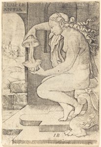 Raittius