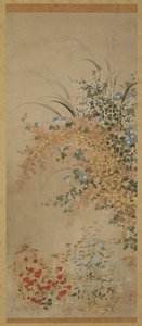 Kukkia ja ruohoja, Edo-kausi, 1600-1630.