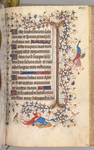 Kaarle Aatelisen, Navarran kuninkaan tunnit 1361-1425: fol. 241r, Teksti, c. 1405. tekijältä Master of the Brussels Initials and Associates