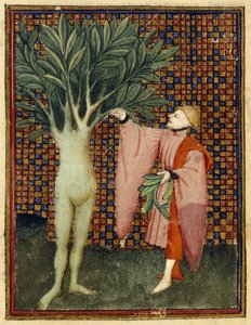 Apollo ja Daphne
