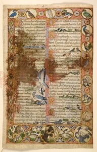 Lisätä. 28841, f.1, Geometriset koko sivun reunat romboideista, pyöreistä ja nelisaitioista, joissa on eläimiä ja kuvallisia kohtauksia: linnut, matelijat ja eläimet, mukaan lukien leijonat, jotka hyökkäävät muiden olentojen kimppuun, ja linnut taistelevat