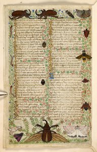 Lisätä. 28841, f.4v: Koit ja sarvikuoriaiset, tutkielmasta hyveistä ja paheista ja nimettömästä Sisilian proosahistoriasta (fragmentti), n. 1330-40 (vellum)