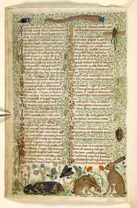 Lisätä. 28841, f.6v: Kanit ja hyönteiset, mukaan lukien toukka, sudenkorento ja koi, tutkielmasta hyveistä ja paheista ja nimettömästä Sisilian proosahistoriasta (katkelma), n. 1330-40 (vellum)