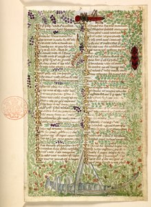 Lisätä. 28841, f.7, Kukat, hedelmät ja hyönteiset, mukaan lukien heinäsirkka ja heinäsirkka, tutkielmasta hyveistä ja paheista ja nimettömästä Sisilian proosahistoriasta (katkelma)
