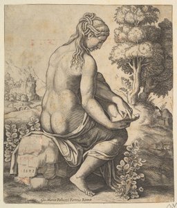 Venus poistaa piikkia jalaltaan, 1532.
