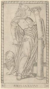 Vahvuus (lujuus) tekijältä Master of the E Series Tarocchi