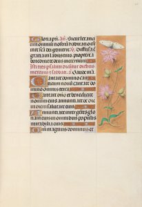 Espanjan kuningattaren Isabella katolisen tunteja:  Fol. 107r tekijältä Master of the First Prayerbook of Maximillian