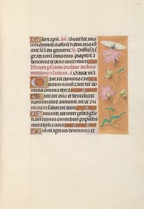 Kuningatar Isabella Katolisen, Espanjan kuningatar: Fol. 107r, c. 1500. tekijältä Master of the First Prayerbook of Maximillian