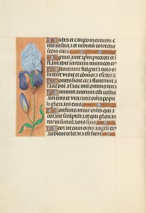 Kuningatar Isabella Katolisen, Espanjan kuningatar: Fol. 108v, c. 1500. tekijältä Master of the First Prayerbook of Maximillian