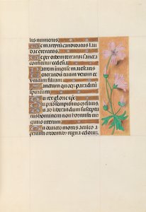 Kuningatar Isabella Katolisen, Espanjan kuningatar: Fol. 113r, c. 1500. tekijältä Master of the First Prayerbook of Maximillian