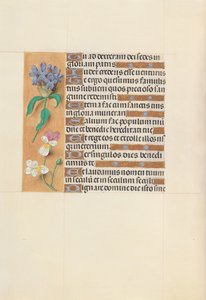Kuningatar Isabella Katolisen, Espanjan kuningatar: Fol. 113v, c. 1500. tekijältä Master of the First Prayerbook of Maximillian