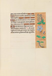 Kuningatar Isabella Katolisen, Espanjan kuningatar: Fol. 114r, c. 1500. tekijältä Master of the First Prayerbook of Maximillian