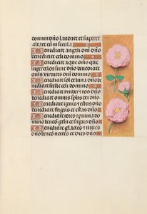 Kuningatar Isabella Katolisen, Espanjan kuningatar: Fol. 119r, c. 1500. tekijältä Master of the First Prayerbook of Maximillian