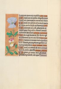 Espanjan kuningattaren Isabella katolisen tunteja:  Fol. 120v tekijältä Master of the First Prayerbook of Maximillian