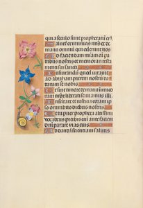 Kuningatar Isabella Katolisen, Espanjan kuningatar: Fol. 123v, c. 1500. tekijältä Master of the First Prayerbook of Maximillian