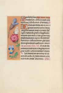 Kuningatar Isabella Katolisen, Espanjan kuningatar: Fol. 124v, c. 1500. tekijältä Master of the First Prayerbook of Maximillian