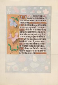 Kuningatar Isabella Katolisen, Espanjan kuningatar: Fol. 127v, c. 1500. tekijältä Master of the First Prayerbook of Maximillian