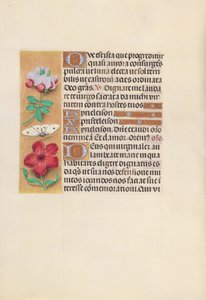 Kuningatar Isabella Katolisen, Espanjan kuningatar: Fol. 129v, c. 1500. tekijältä Master of the First Prayerbook of Maximillian