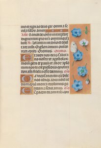 Kuningatar Isabella Katolisen, Espanjan kuningatar: Fol. 130r, c. 1500. tekijältä Master of the First Prayerbook of Maximillian