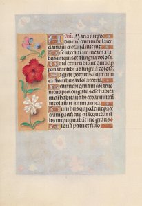 Kuningatar Isabella Katolisen, Espanjan kuningatar: Fol. 132v, c. 1500. tekijältä Master of the First Prayerbook of Maximillian