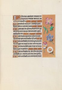 Kuningatar Isabella Katolisen, Espanjan kuningatar: Fol. 133r, c. 1500. tekijältä Master of the First Prayerbook of Maximillian
